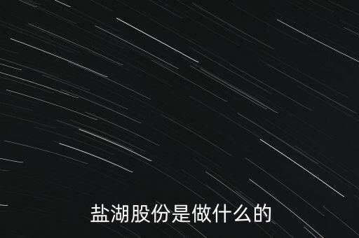 鹽湖集團(tuán)全稱,中國鹽湖集團(tuán)