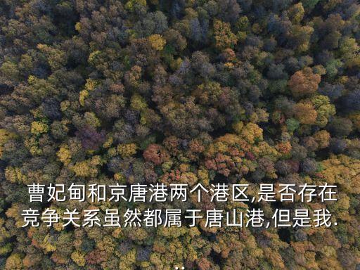 曹妃甸港投資規(guī)模