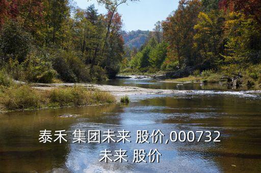泰禾 集團(tuán)未來 股價,000732未來 股價