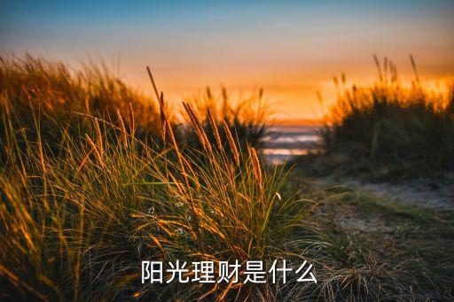  陽(yáng)光理財(cái)是什么
