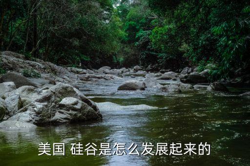 美國(guó) 硅谷是怎么發(fā)展起來(lái)的