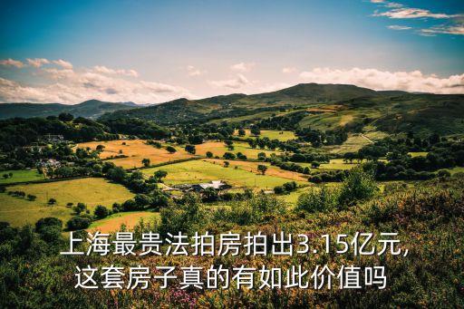  上海最貴法拍房拍出3.15億元,這套房子真的有如此價值嗎