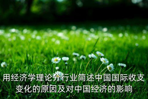 用經濟學理論分行業(yè)簡述中國國際收支變化的原因及對中國經濟的影響