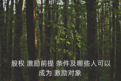  股權 激勵前提 條件及哪些人可以成為 激勵對象