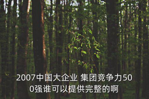 2007中國大企業(yè) 集團競爭力500強誰可以提供完整的啊