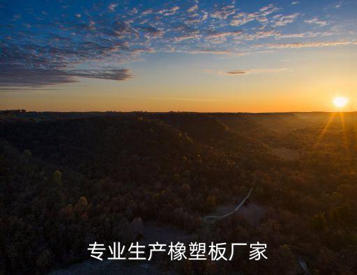 專(zhuān)業(yè)生產(chǎn)橡塑板廠(chǎng)家