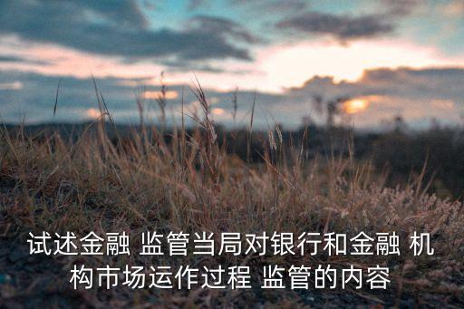 試述金融 監(jiān)管當局對銀行和金融 機構(gòu)市場運作過程 監(jiān)管的內(nèi)容