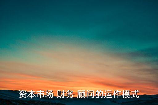 諍實(shí)財(cái)務(wù)顧問公司,秉實(shí)財(cái)務(wù)顧問(海南)
