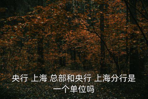 沒有國有銀行總部上海如何建設(shè)金融中心