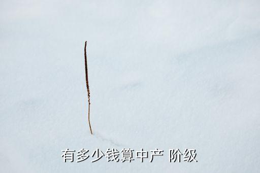 有多少錢算中產(chǎn) 階級(jí)