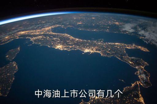 中海油上市公司有幾個