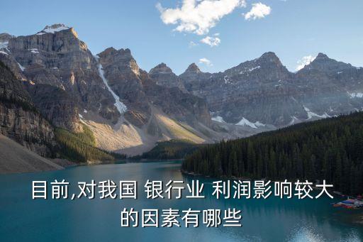 目前,對我國 銀行業(yè) 利潤影響較大的因素有哪些