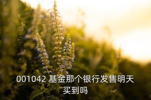 001042 基金那個銀行發(fā)售明天買到嗎