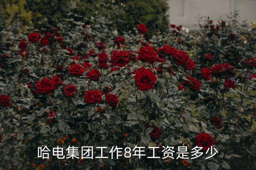 哈電集團工作8年工資是多少