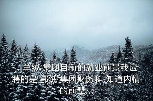 ...羊絨 集團目前的就業(yè)前景我應(yīng)聘的是 鄂絨 集團財務(wù)科,知道內(nèi)情的前輩...