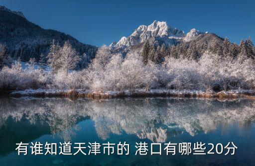 有誰知道天津市的 港口有哪些20分