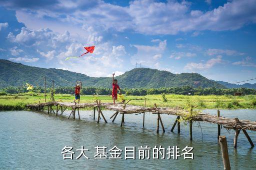 寶盈泛銀?；?天天基金寶盈泛沿海