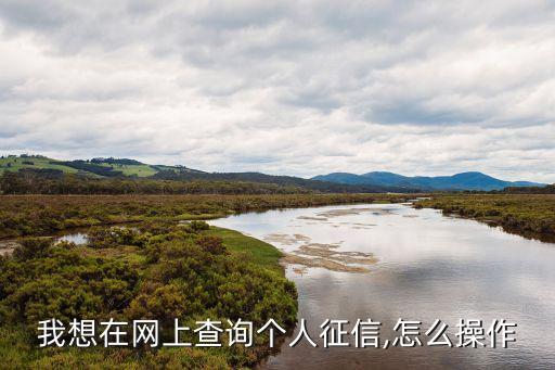 我想在網(wǎng)上查詢個人征信,怎么操作