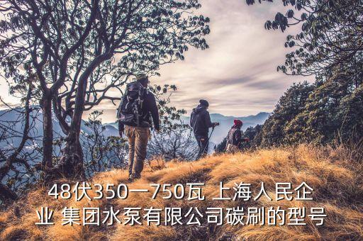 48伏350一750瓦 上海人民企業(yè) 集團(tuán)水泵有限公司碳刷的型號