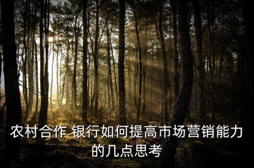 農(nóng)村合作 銀行如何提高市場營銷能力的幾點(diǎn)思考