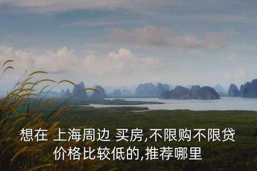 想在 上海周邊 買房,不限購(gòu)不限貸價(jià)格比較低的,推薦哪里