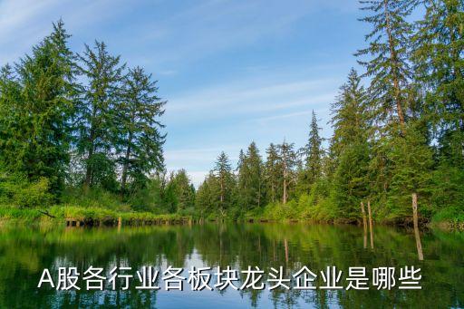 a股像多玩的公司有那些