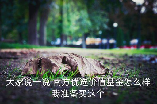 大家說(shuō)一說(shuō) 南方優(yōu)選價(jià)值基金怎么樣我準(zhǔn)備買(mǎi)這個(gè)