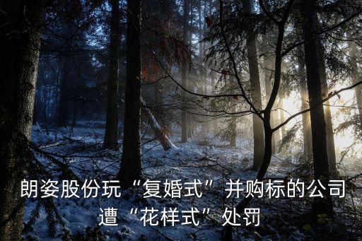  朗姿股份玩“復(fù)婚式”并購(gòu)標(biāo)的公司遭“花樣式”處罰