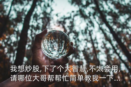 我想炒股,下了個(gè)大智慧,不太會(huì)用,請(qǐng)哪位大哥幫幫忙簡(jiǎn)單教我一下...