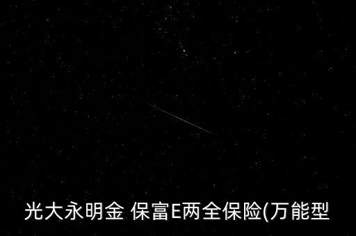 光大永明金 保富E兩全保險(萬能型
