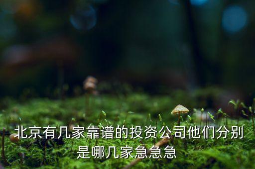  北京有幾家靠譜的投資公司他們分別是哪幾家急急急