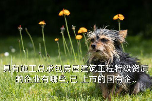 具有施工總承包房屋建筑工程特級資質(zhì)的企業(yè)有哪些,已 上市的國有企...