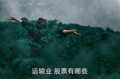 運(yùn)輸業(yè) 股票有哪些