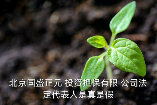 鞍山正元中潤(rùn)投資公司