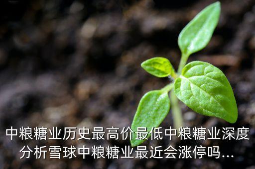 中糧糖業(yè)歷史最高價(jià)最低中糧糖業(yè)深度分析雪球中糧糖業(yè)最近會漲停嗎...