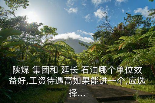 陜煤 集團(tuán)和 延長 石油哪個(gè)單位效益好,工資待遇高如果能進(jìn)一個(gè),應(yīng)選擇...