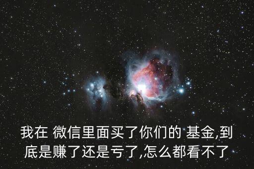 我在 微信里面買(mǎi)了你們的 基金,到底是賺了還是虧了,怎么都看不了