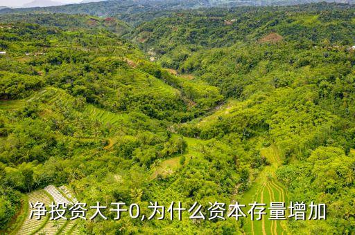 凈投資額,累計(jì)凈投資額
