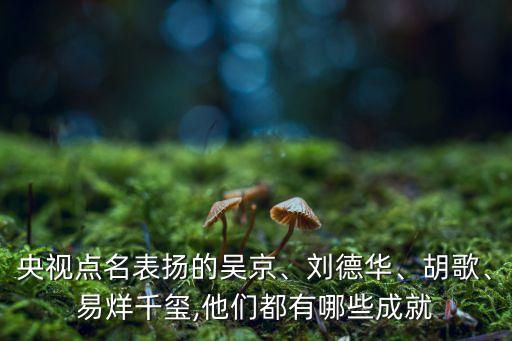央視點名表揚(yáng)的吳京、劉德華、胡歌、易烊千璽,他們都有哪些成就