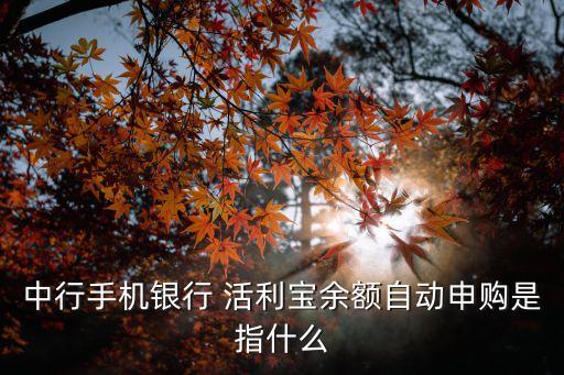 中行手機(jī)銀行 活利寶余額自動申購是指什么
