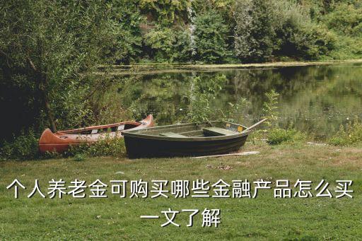 個人養(yǎng)老金可購買哪些金融產(chǎn)品怎么買一文了解