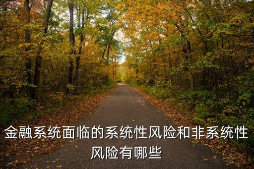 金融系統(tǒng)面臨的系統(tǒng)性風險和非系統(tǒng)性風險有哪些