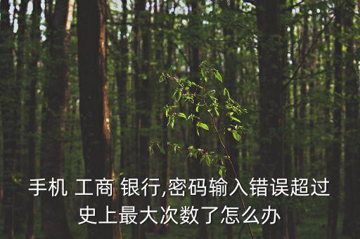 手機(jī) 工商 銀行,密碼輸入錯誤超過史上最大次數(shù)了怎么辦