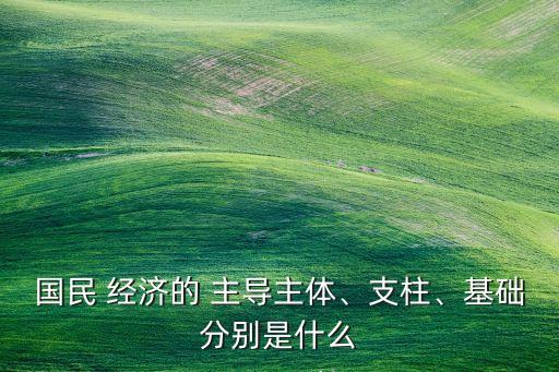 國(guó)民 經(jīng)濟(jì)的 主導(dǎo)主體、支柱、基礎(chǔ)分別是什么