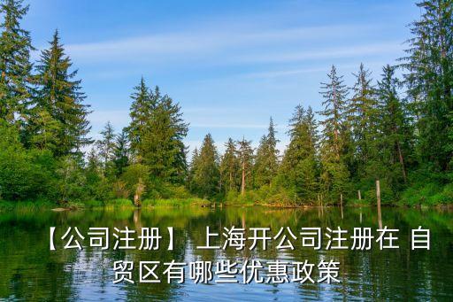 【公司注冊】 上海開公司注冊在 自貿區(qū)有哪些優(yōu)惠政策