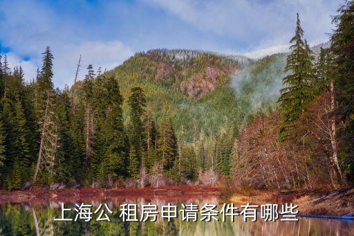 上海公 租房申請(qǐng)條件有哪些