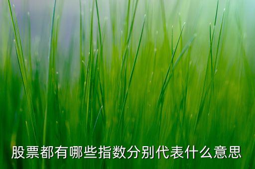 股票都有哪些指數(shù)分別代表什么意思