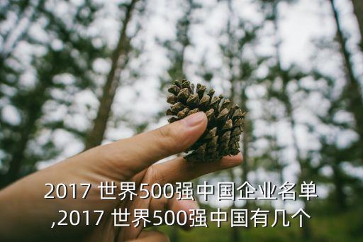 2017 世界500強中國企業(yè)名單,2017 世界500強中國有幾個
