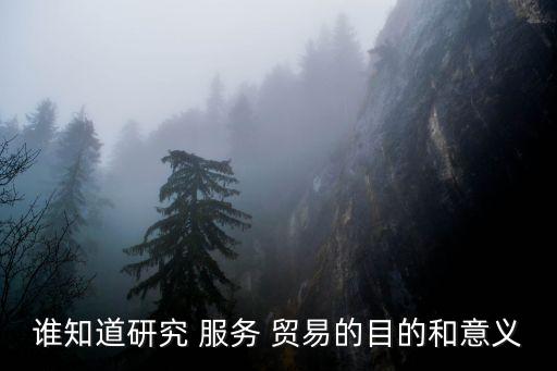服務(wù)貿(mào)易對中國經(jīng)濟(jì)的影響