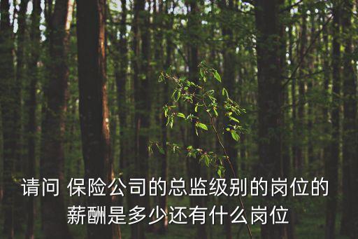 請問 保險(xiǎn)公司的總監(jiān)級別的崗位的 薪酬是多少還有什么崗位